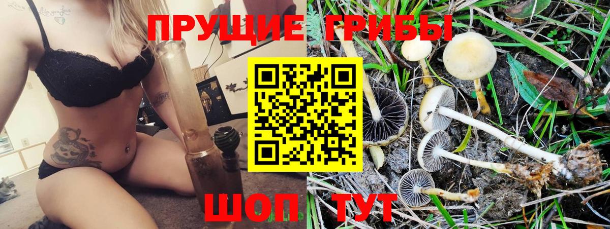 Псилоцибиновые грибы GOLDEN TEACHER Югорск