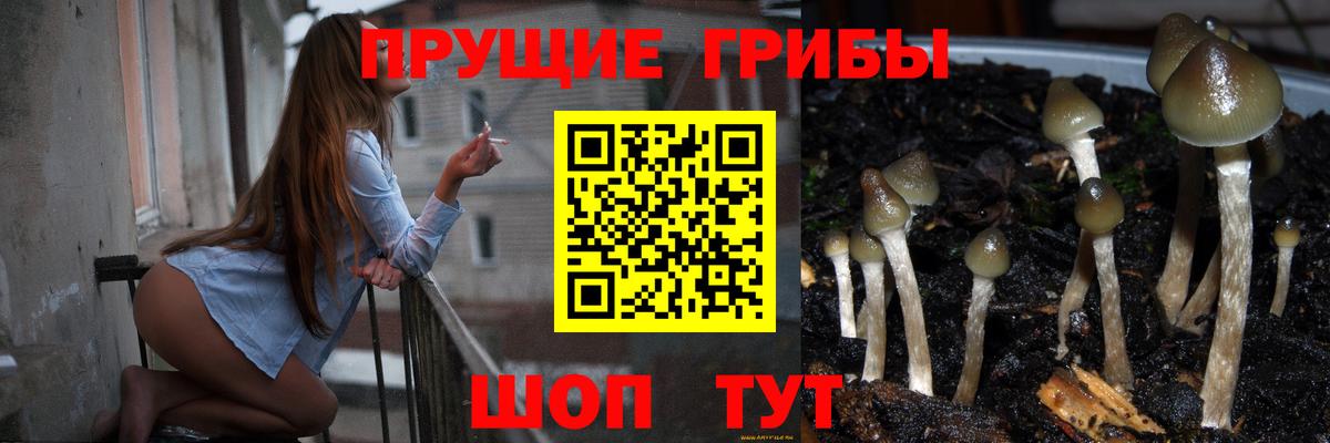 Югорск  Галлюциногенные грибы мухоморы  Вход с VPN 